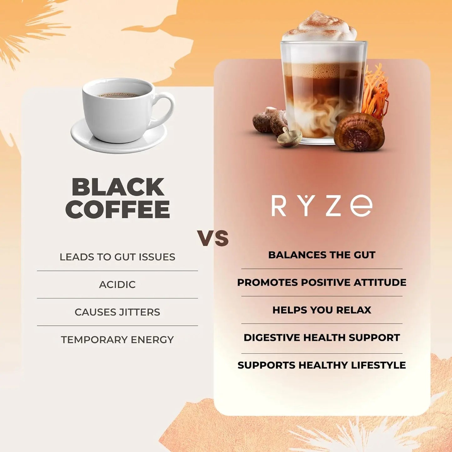 RYZE n Shine Bundle, USDA Organic RYZE Mushroom Coffee + Probiotic Coffee Creamer with 6 Adaptogenic Mushrooms and MCT Oil or Better Energy, Focus, Digestion, Immunity with Turkey Tail, 60 servings