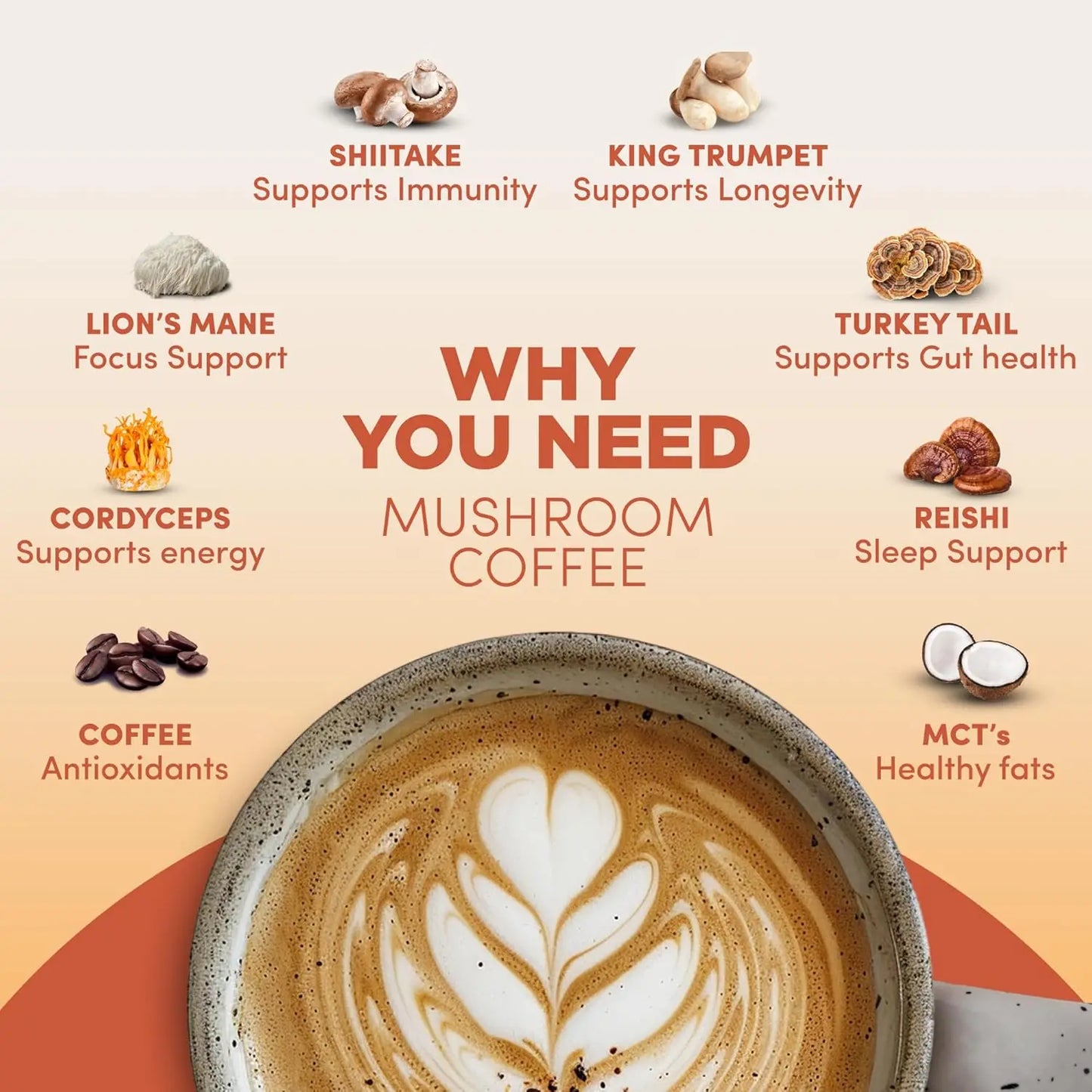 RYZE n Shine Bundle, USDA Organic RYZE Mushroom Coffee + Probiotic Coffee Creamer with 6 Adaptogenic Mushrooms and MCT Oil or Better Energy, Focus, Digestion, Immunity with Turkey Tail, 60 servings