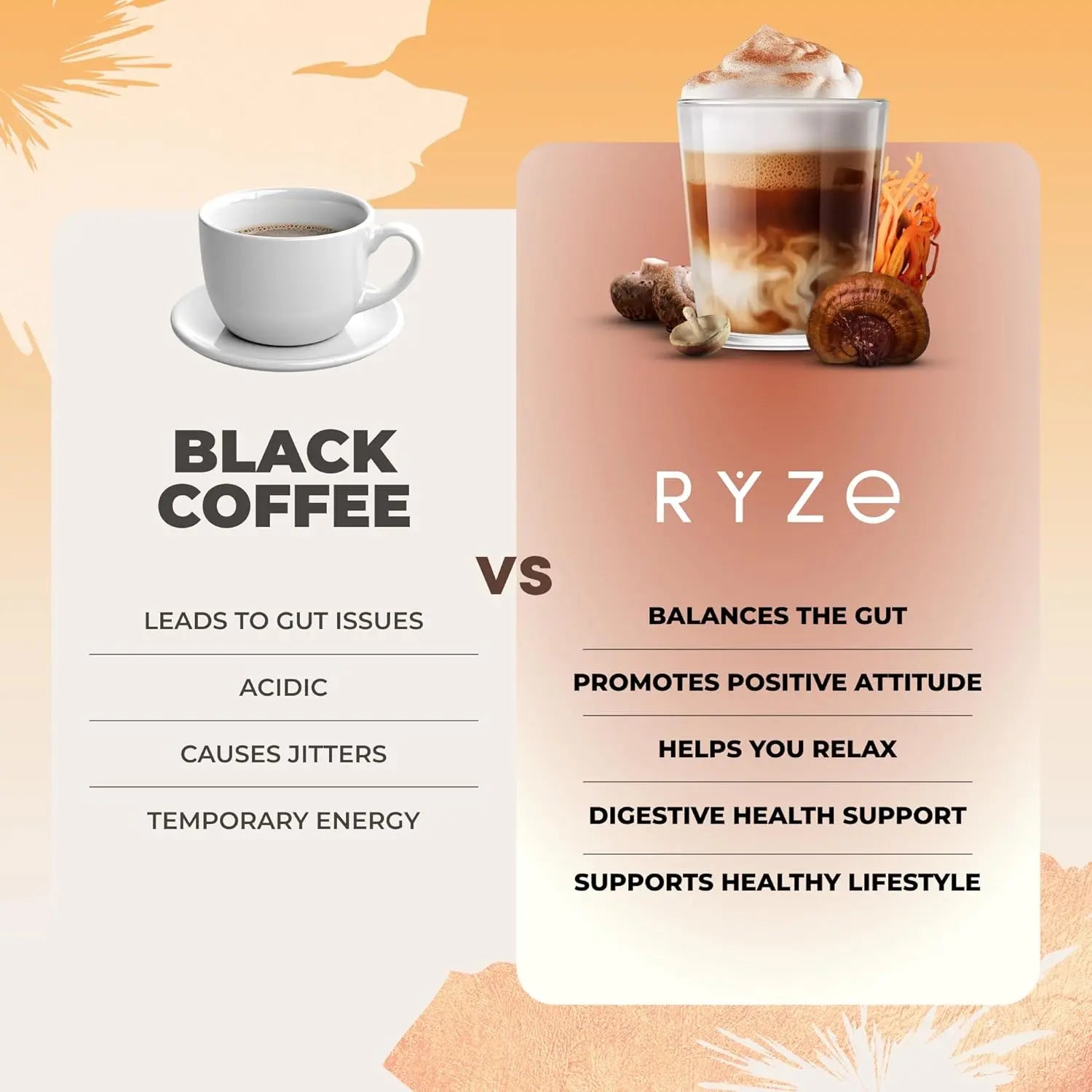RYZE n Shine Bundle, USDA Organic RYZE Mushroom Coffee + Probiotic Coffee Creamer with 6 Adaptogenic Mushrooms and MCT Oil or Better Energy, Focus, Digestion, Immunity with Turkey Tail, 60 servings