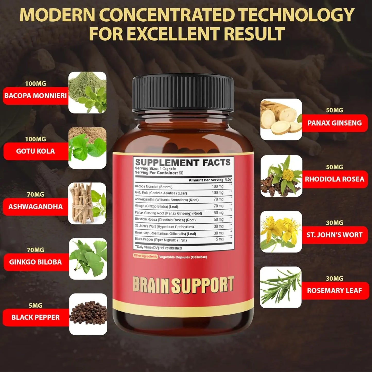 9in1 Brain Support Supplement - Concentrated Ashwagandha Root, Gotu Kola Powder, Bacopa Monnieri Powder and More - 90 Capsules - 3-Month Supply