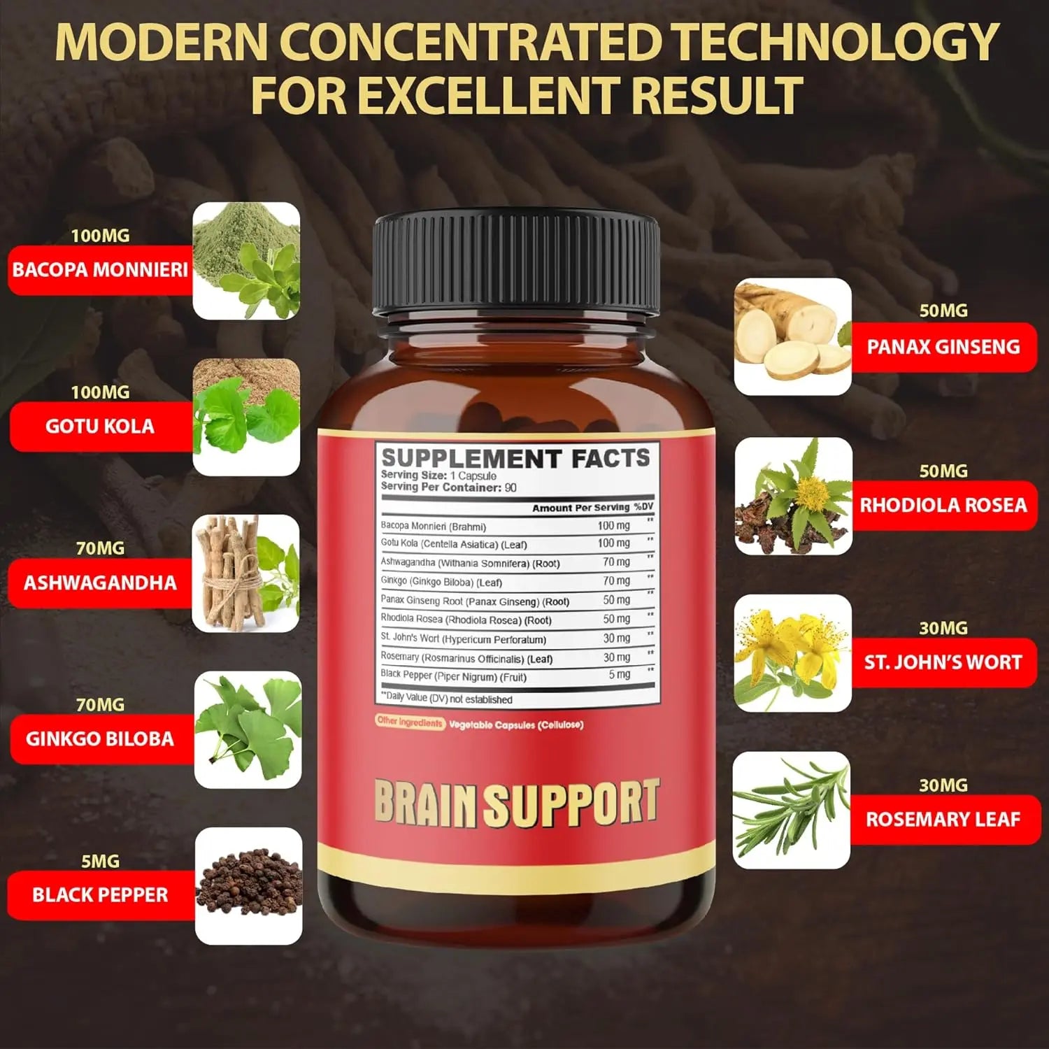 9in1 Brain Support Supplement - Concentrated Ashwagandha Root, Gotu Kola Powder, Bacopa Monnieri Powder and More - 90 Capsules - 3-Month Supply